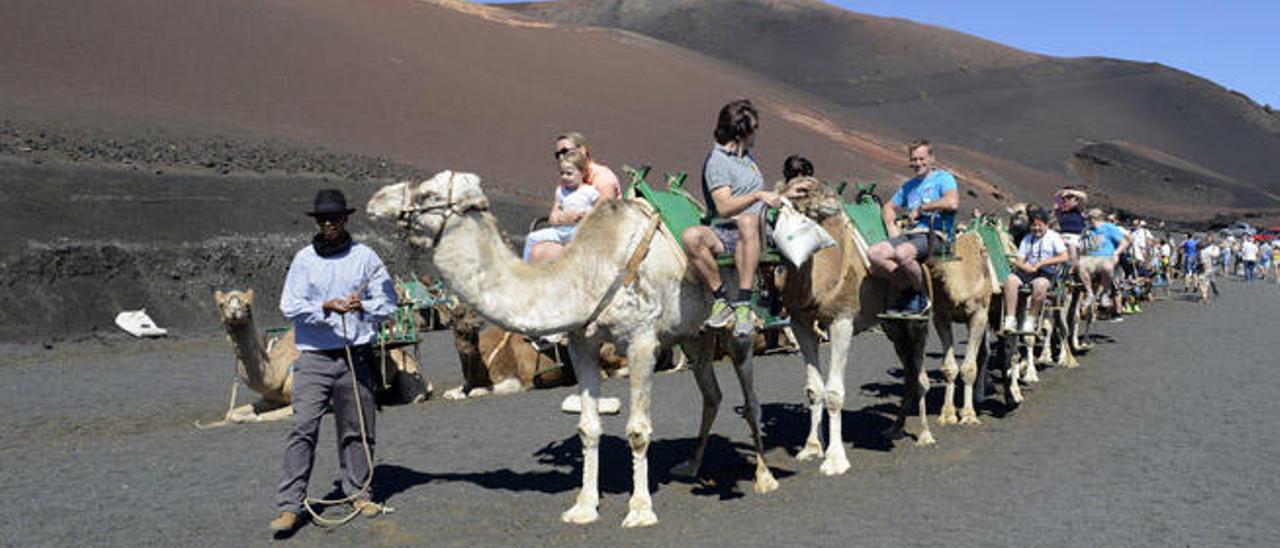 Un grupo de turistas, ayer, en el Echadero de los Camellos, antes de empezar su paseo por el Parque Nacional de Timanfaya.