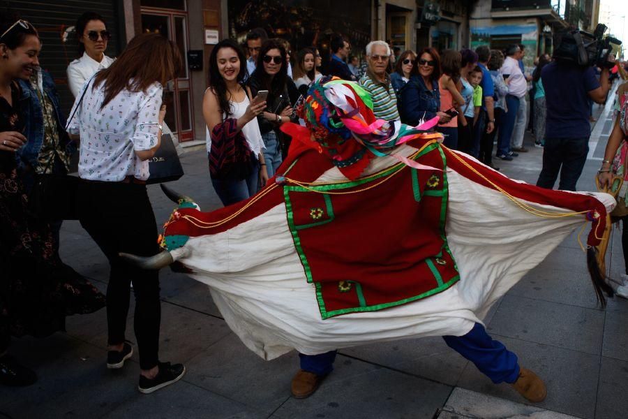 Las Mascaradas toman Zamora