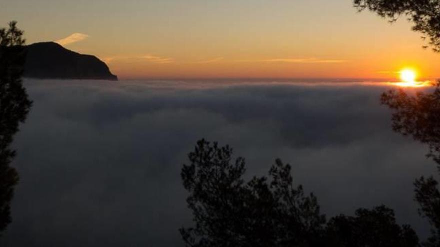 Orihuela amanece entre un «mar de nubes» por las nieblas de radiación