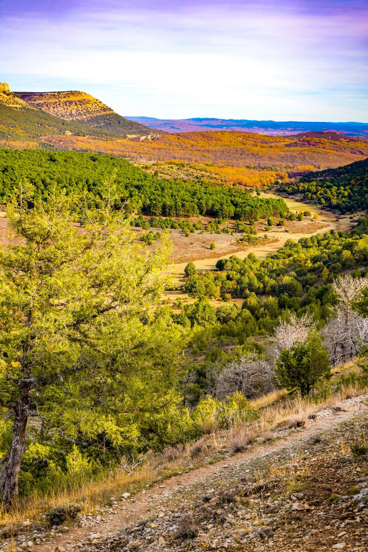 El paisaje de la Sierra de la Demanda en Burgos