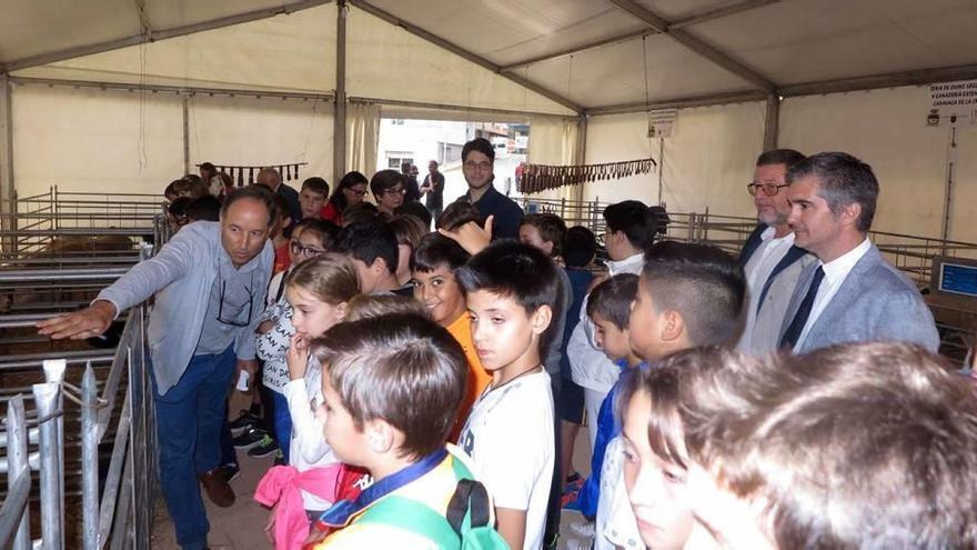 La Feria del Ovino Segureño empezó ayer con las visitas de los escolares. A la derecha, las máquinas agrícolas de la muestra, que ya están en las calles de Caravaca.