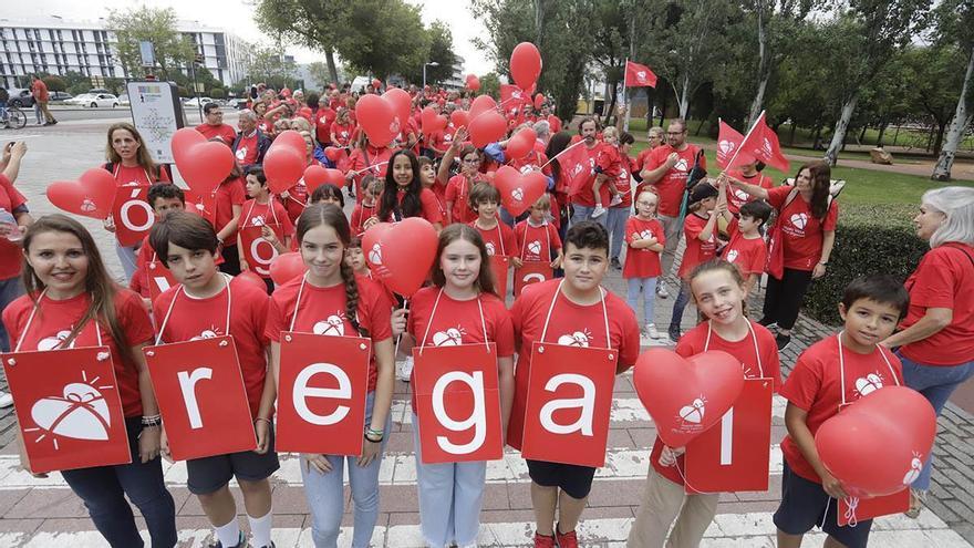 Vídeo: El hospital Reina Sofía inicia la Semana del Donante | Foto: Marcha para promocionar la donación de órganos en Córdoba.