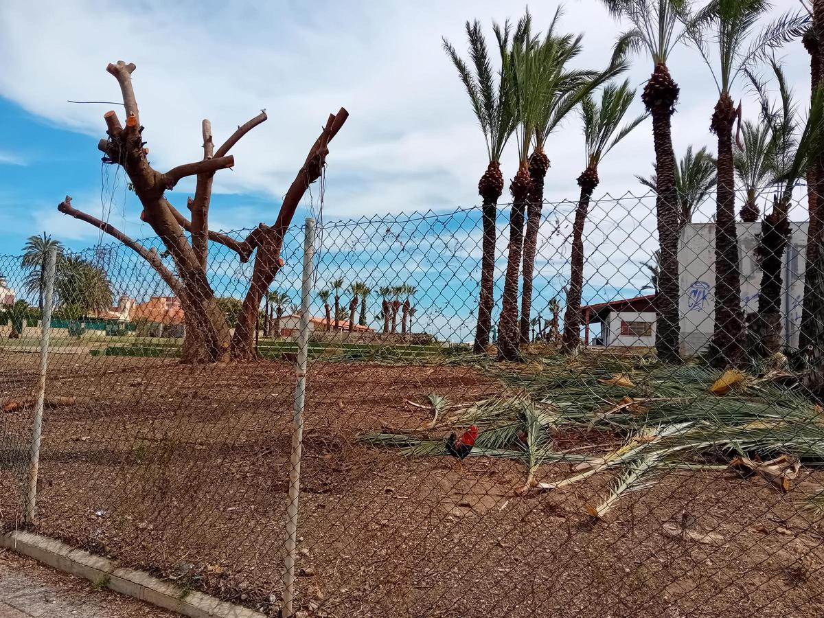 Trabajos de limpieza en una parcela de uso hotelero en La Veleta de Torrevieja