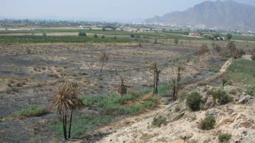 Imagen del paraje incendiado en Granja.