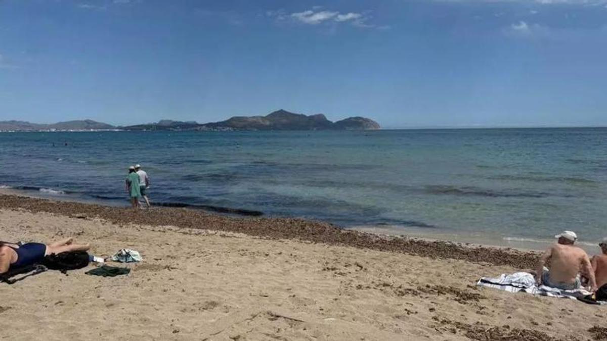 Bisher gibt es keine Strandliegen und Sonnenschirme an den Stränden von Can Picafort.