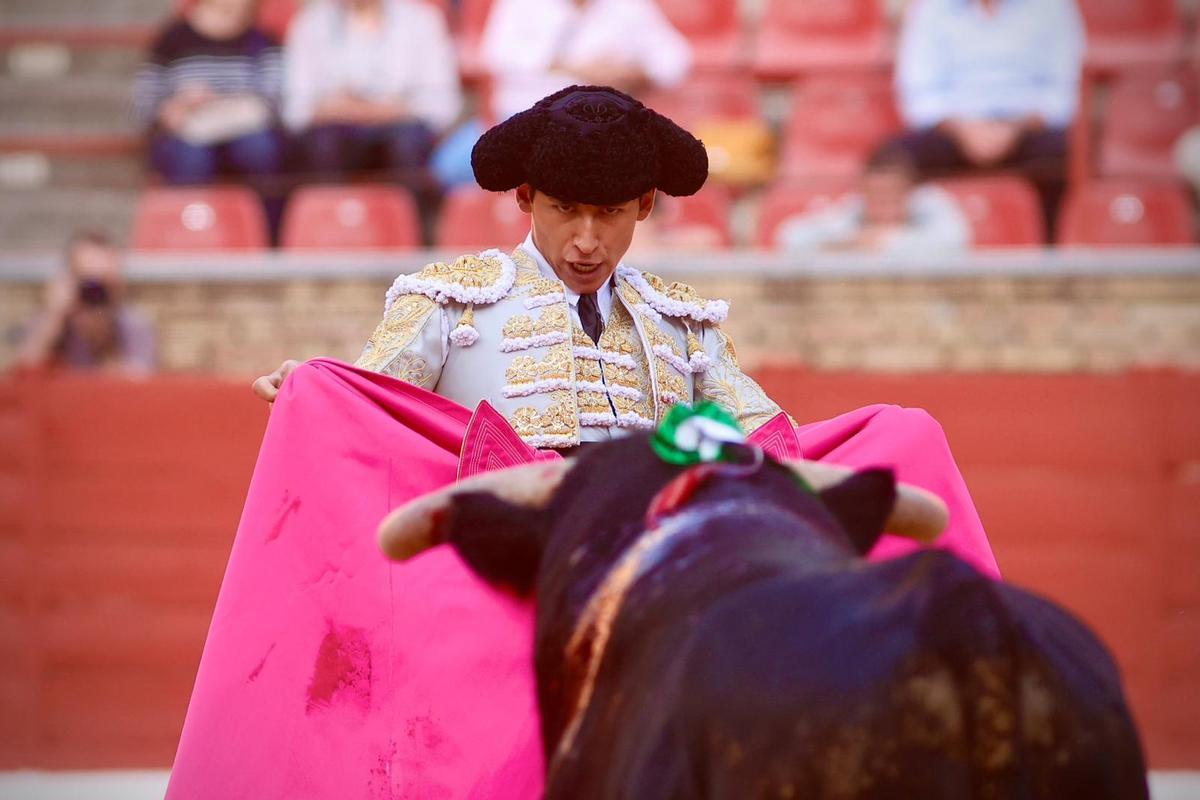 La novillada de Córdoba, en imágenes La novillada de Córdoba, en imágenes