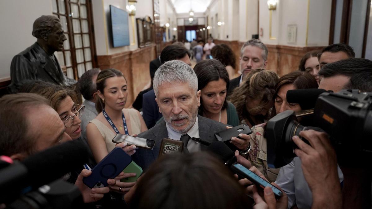 Fernando Grande-Marlaska. Sesión de control al Gobierno en el Congreso de los Diputados.