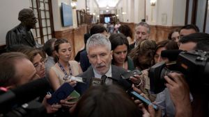 Fernando Grande-Marlaska. Sesión de control al Gobierno en el Congreso de los Diputados.