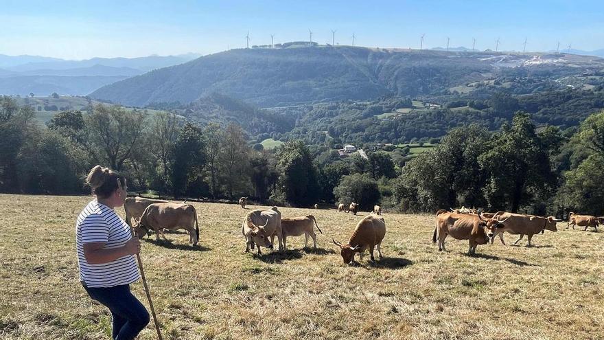 Mediu Rural refuerza los incentivos pa favorecer la incorporación de les muyeres al sector agrariu