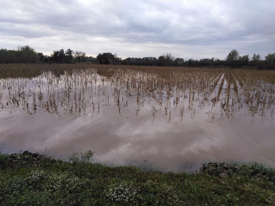 Afectacions per les pluges a l'Alt Empordà