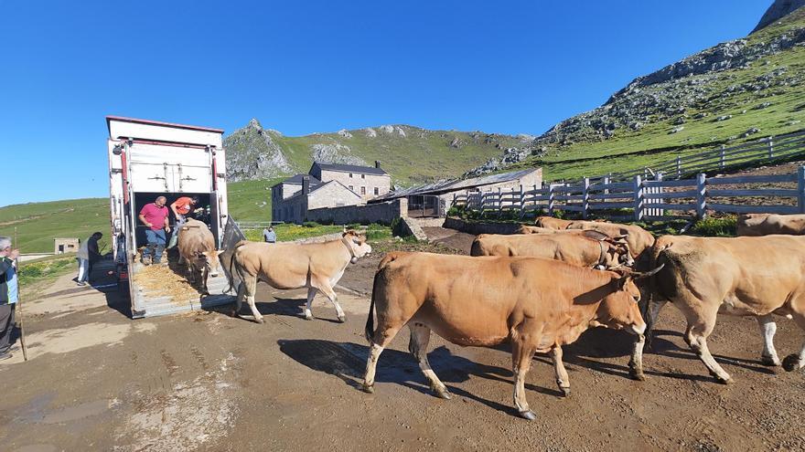 Mieres, contra las cuerdas en la &quot;guerra de pastos&quot;: los jueces abren la puerta a la expropiación del puerto de Pinos