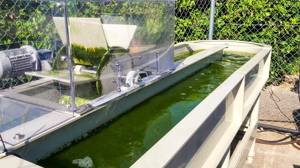 Una de las iniciativas para 2026 empleará sistemas abiertos tipo raceway y tecnologías ecoinnovadoras.