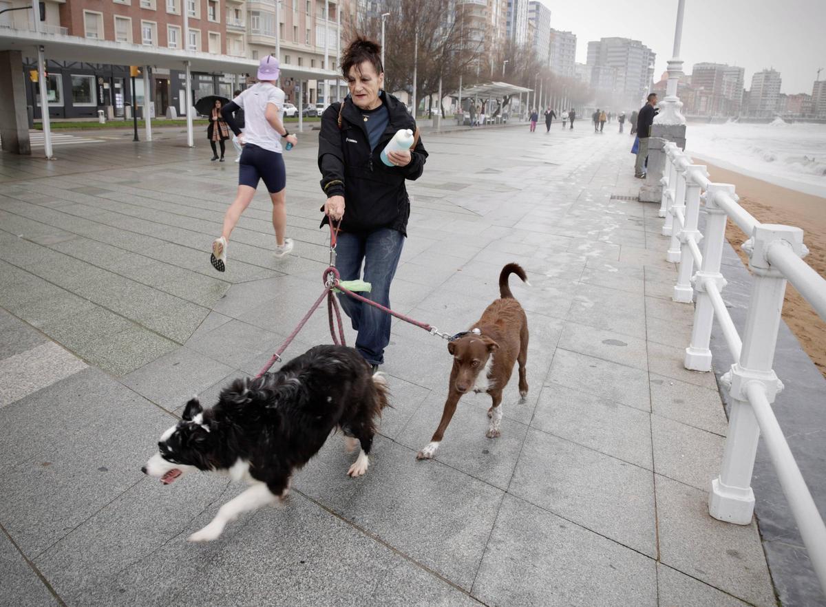 María José del Valle, paseando con sus perros "Candela" y "Mazcayu" por el Muro de San Lorenzo.