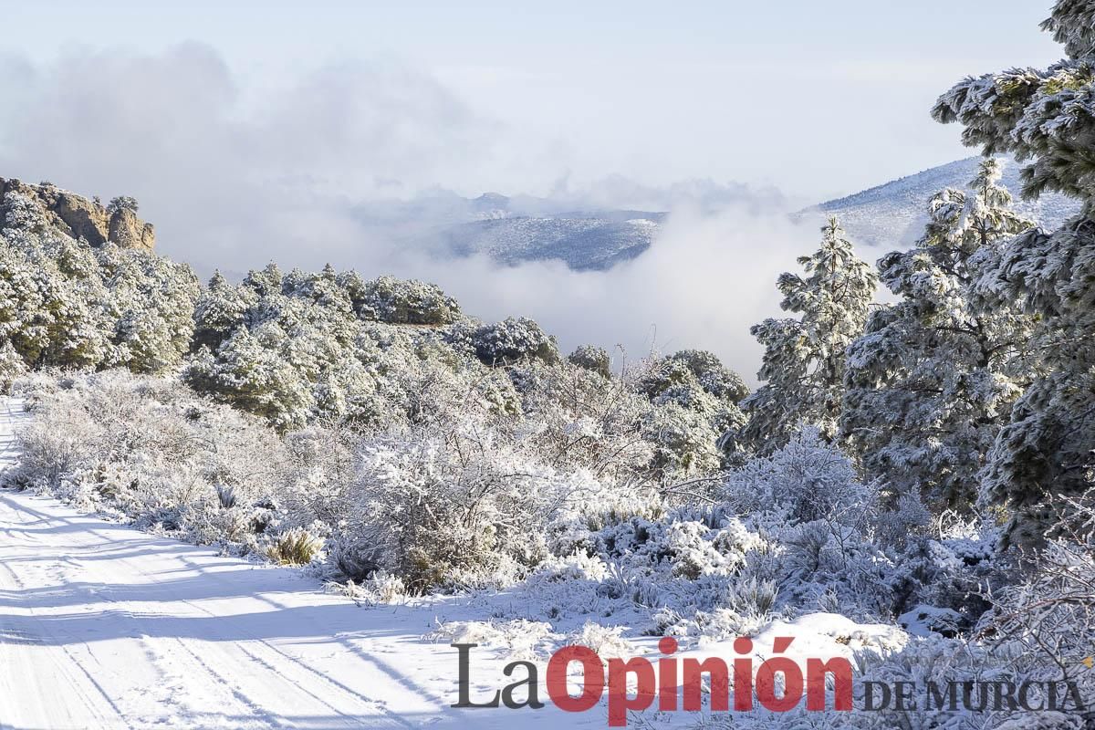 Descubre dónde queda acumulación de nieve en la Región de Murcia