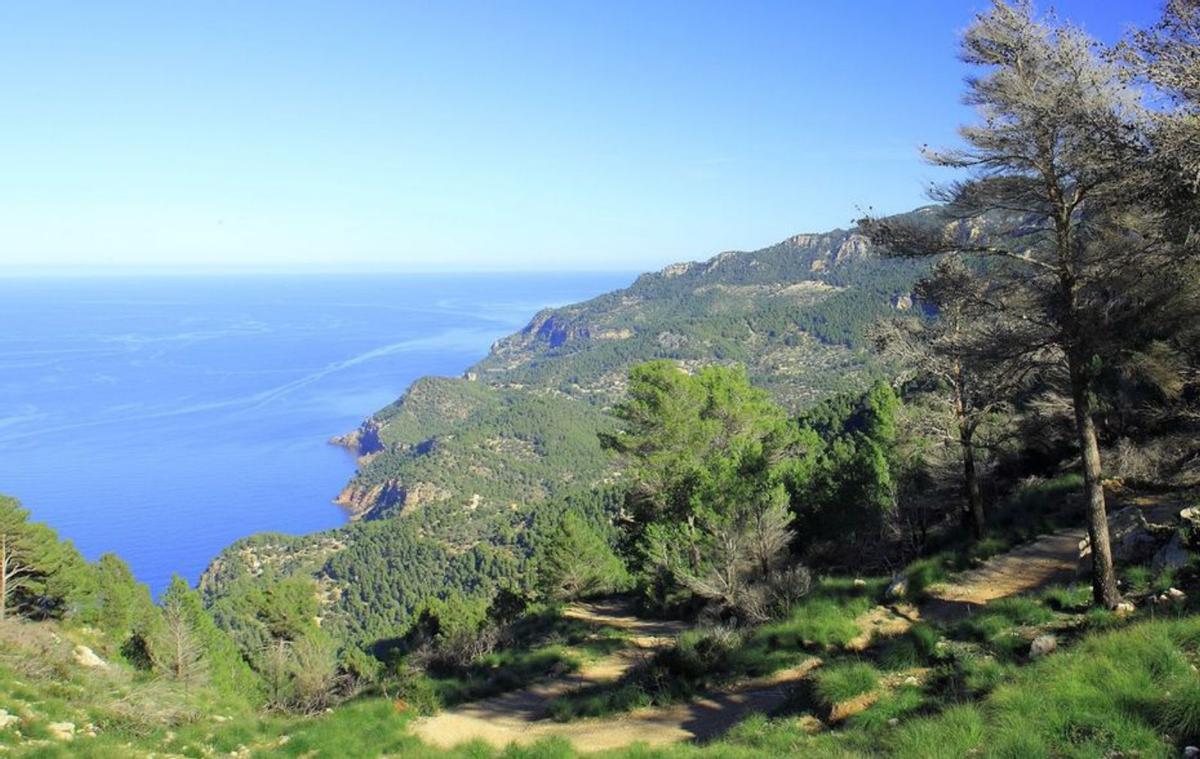 Vista general de la costa de Estellencs.