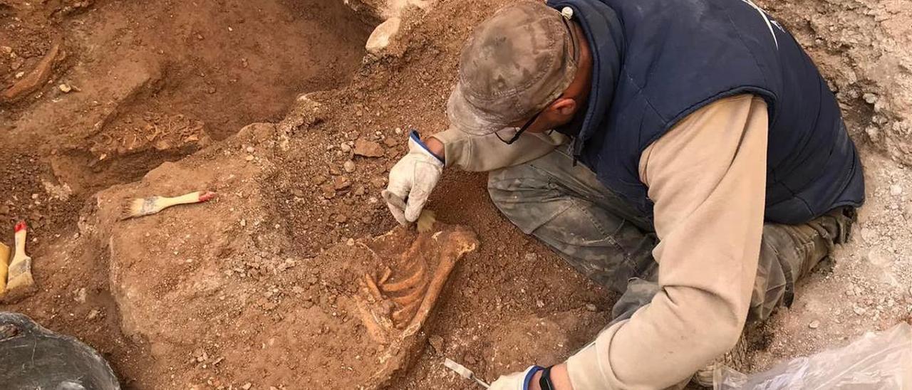 La excavación de los nuevos enterramientos aparecidos en la calle Virgen de las Nieves de Aspe.