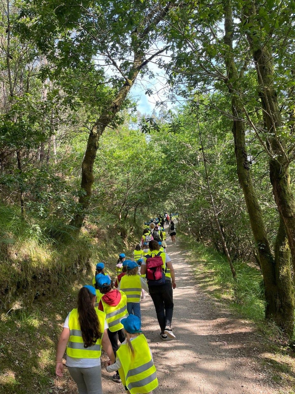 La peregrinación de los niños del CRA de Valga por el Camiño Portugués.