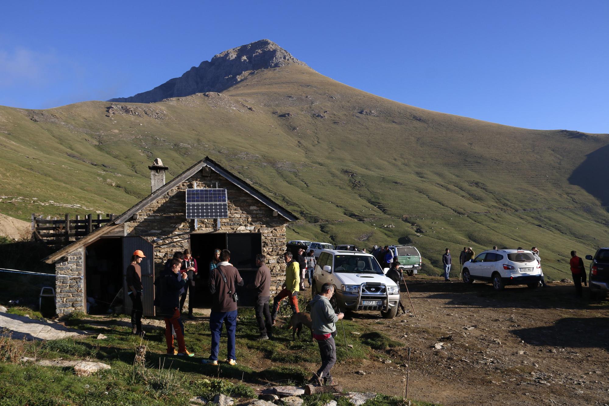 Vaquers del Berguedà, Cerdanya i el Solsonès recullen el seu bestiar de la muntanya