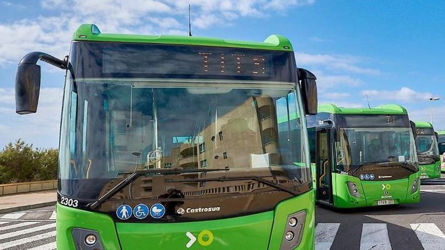На Тенеріфе посилять роботу громадського транспорту через святкування Ромерії Сан-Роке в Гарачико