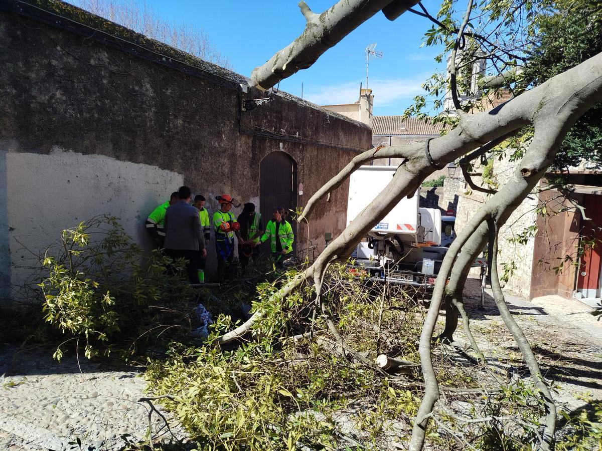 Salellas dialogant amb membres de la brigada municipal.