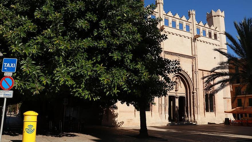 Monumentos ocultos por la vegetación | Arca pide que se recuperen las visuales de sa Llotja y el castillo de Bellver