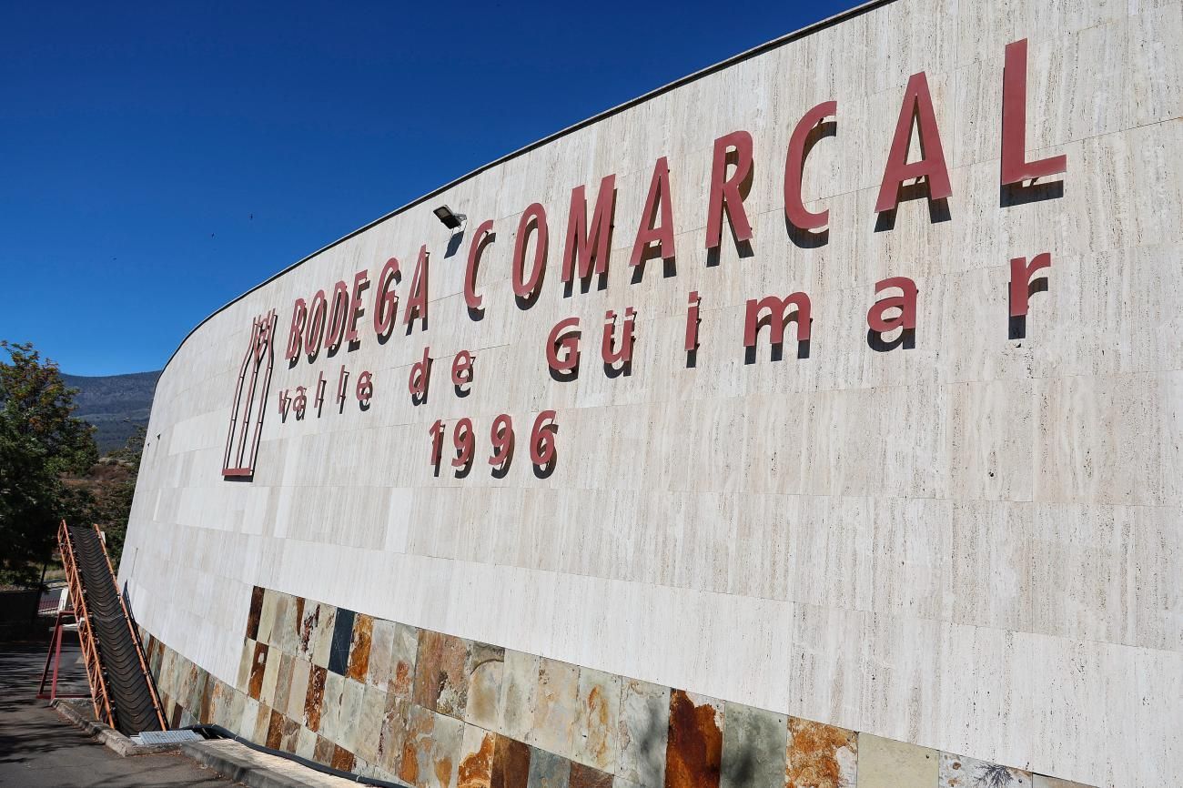 Brumas de Ayosa recibe un premio por su vino tinto
