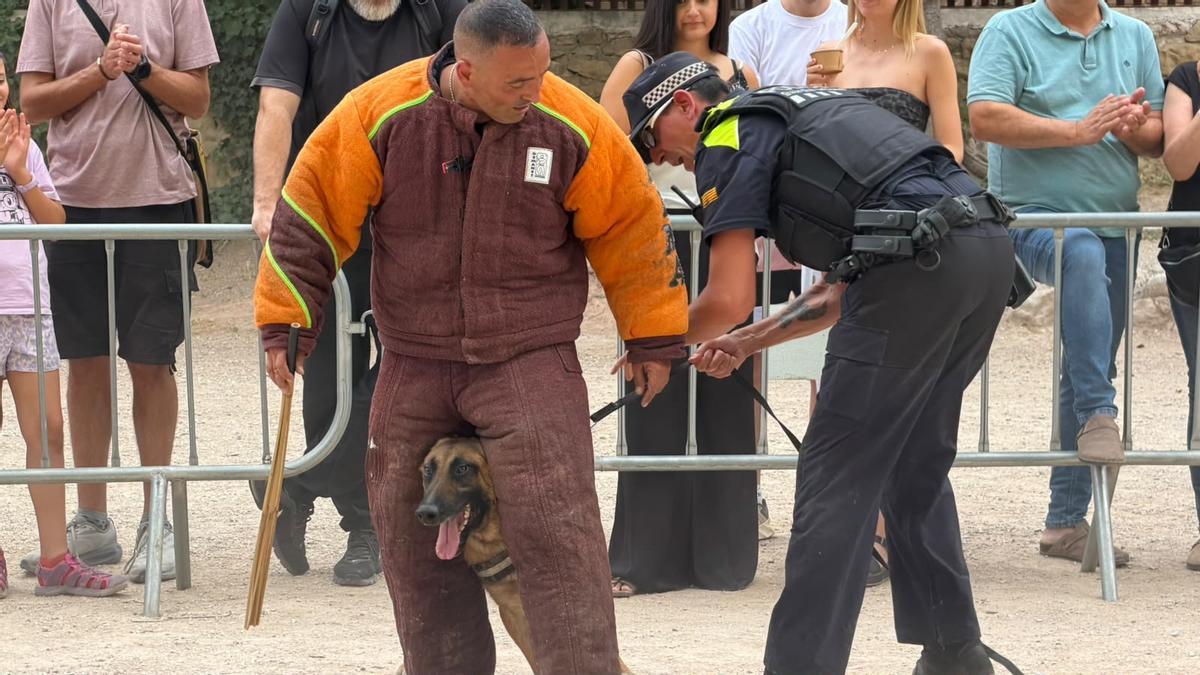 Un moment de la demostració dels gossos en tasques de control de detinguts