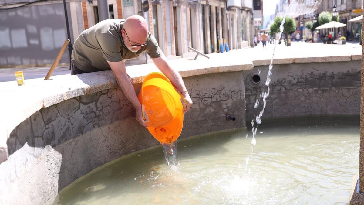 Los tres peces regresaron a la fuente de la Plaza de Galicia tras las labores de limpieza y renovación del agua.