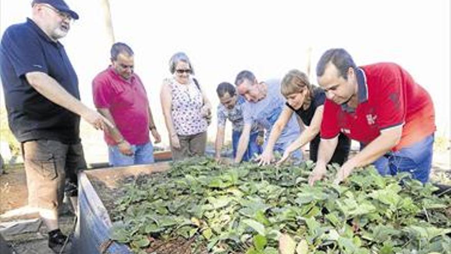 Vila-real idea llevar la Universitat Popular a asociaciones vecinales