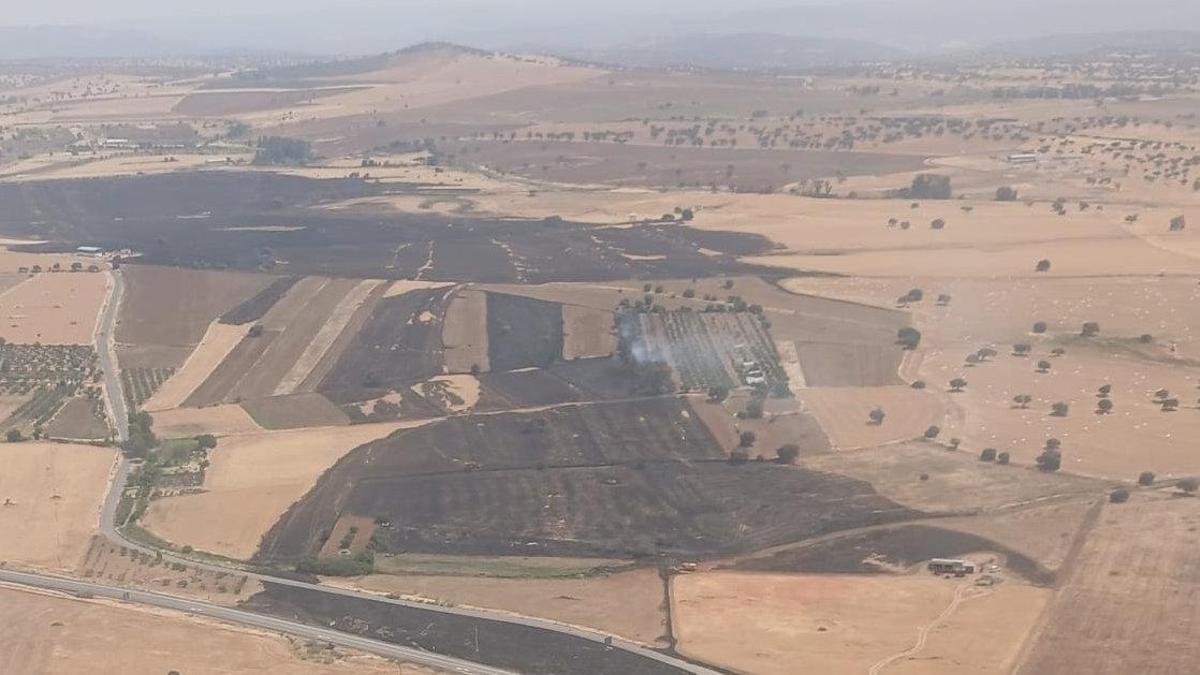Vista aérea de la superficie quemada en el incendio de Fuente Obejuna.