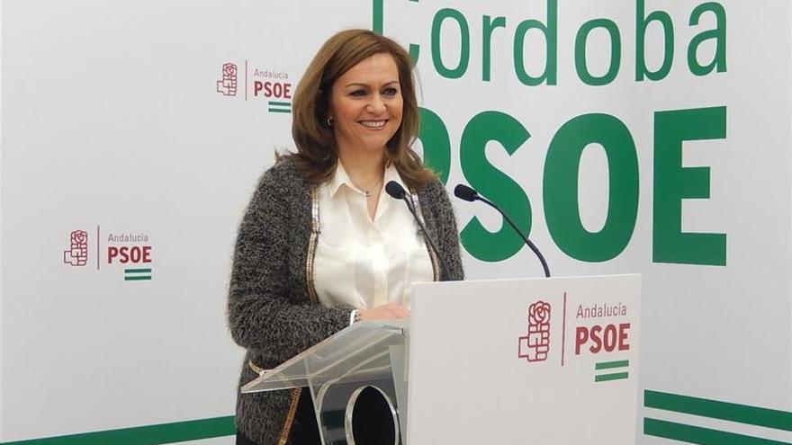 El PSOE pide que se garanticen las pensiones de viudedad y orfandad