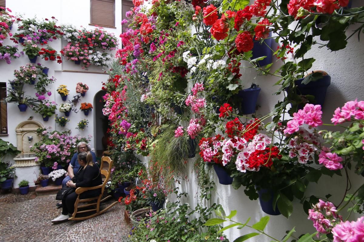 Paseando por los patios de la San Lorenzo y San Rafael