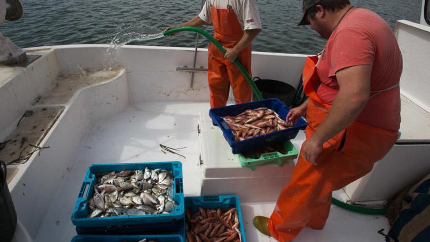 Pescadores posan con su captura.