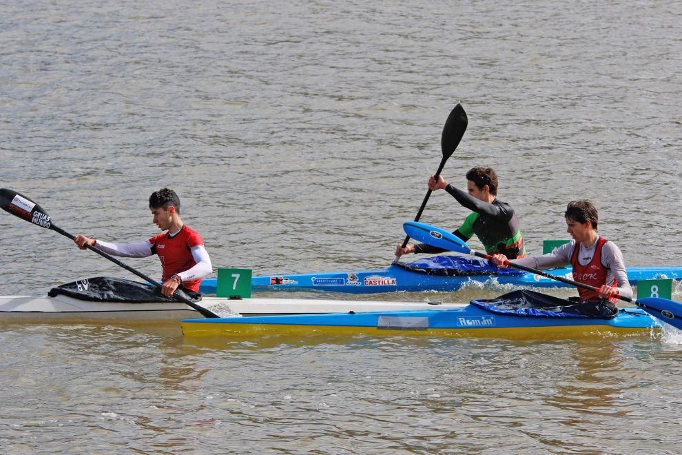 Zamora protagonista campeonato Castilla y León