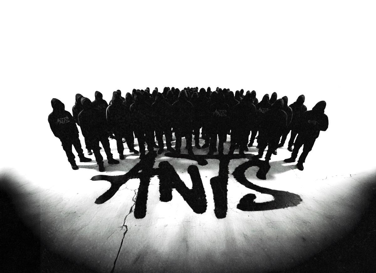 ANTS introduces a redefined Day & Night series spanning five consecutive Saturdays.