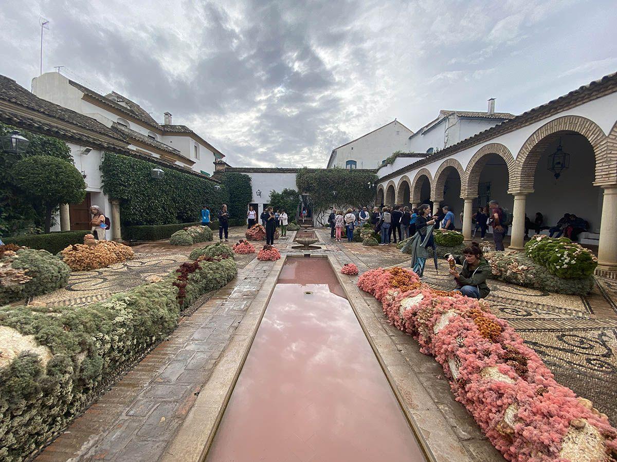 Exposición en el Palacio de Viana de Flora 2022