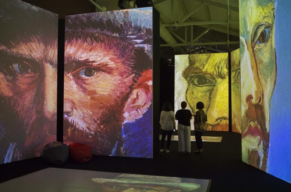 Exposición Van Gogh Alive Experience en Alicante