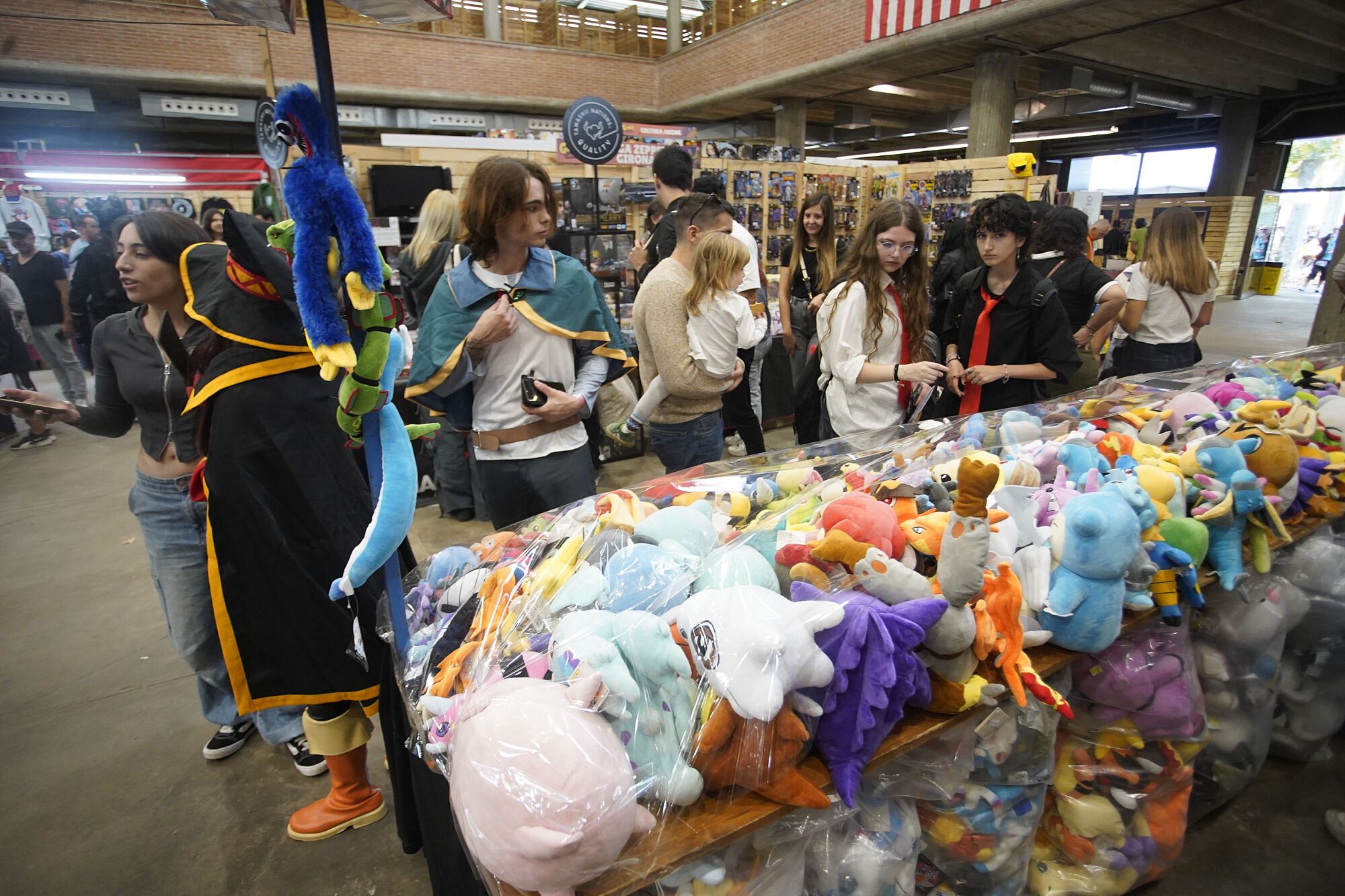 Girocòmic en imatges