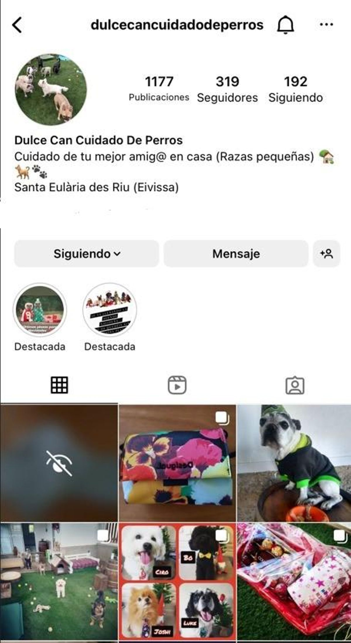 Imagen del instagram de Dulce Can Cuidado de Perros.