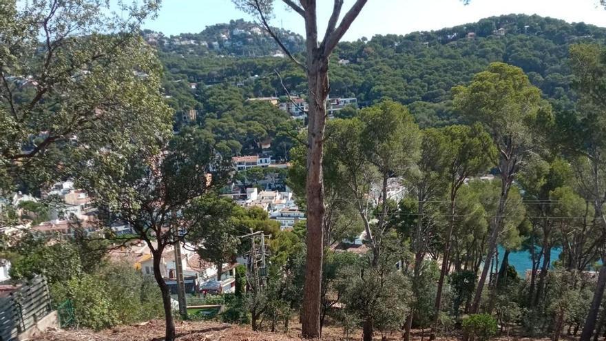 Palafrugell reforça la prevenció d'incendis amb actuacions als nuclis habitats i a les parcel·les