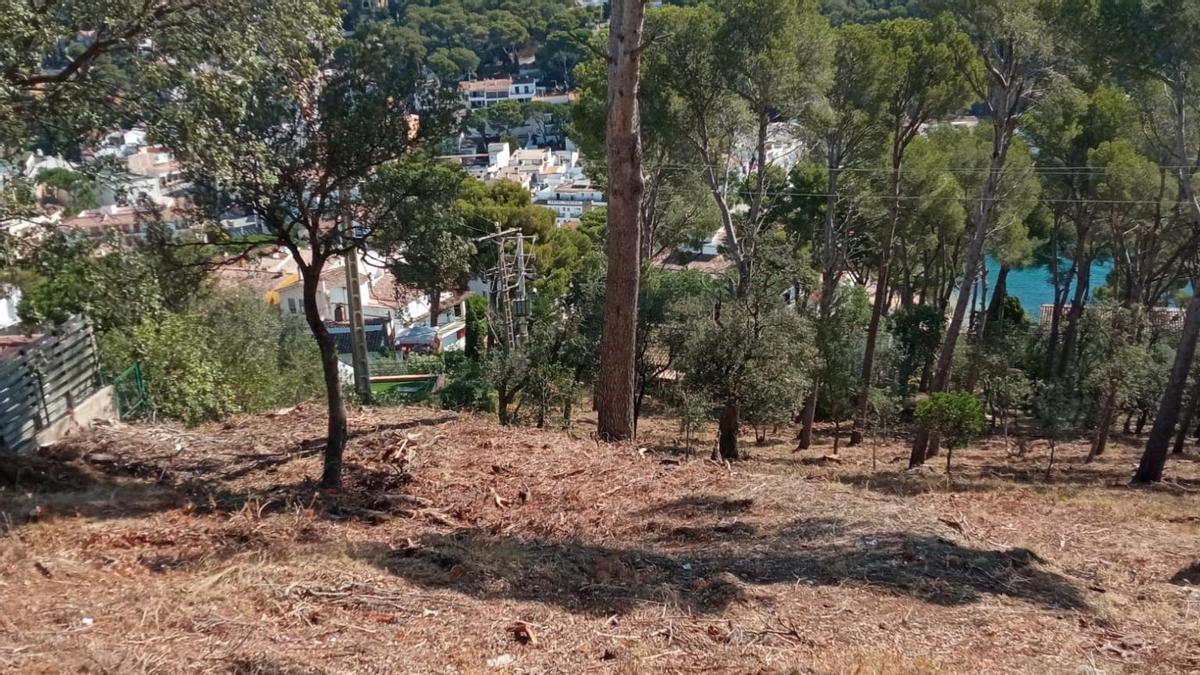 Les parcel·les netes com a mesura de prevenció d'incendis.