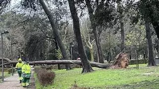 Más de 50 litros en Portbou y olas de 4 metros en Begur; la 'llevantada' ya golpea Girona