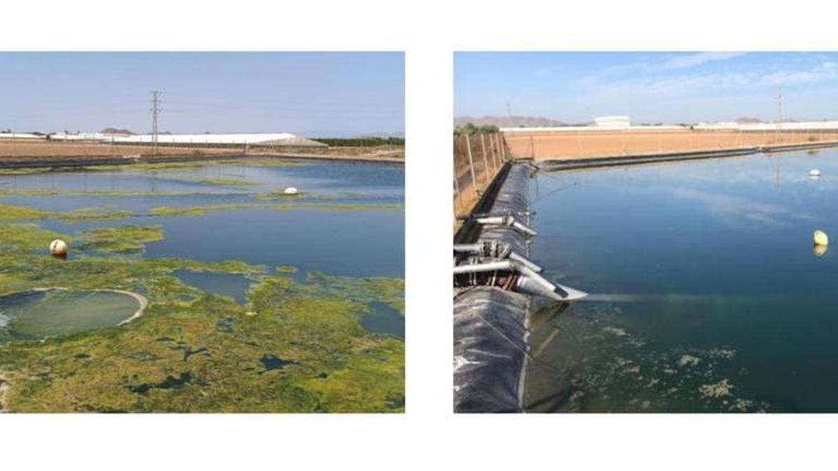 Antes y después del uso de zeolitas naturales para eliminar la eutrofización