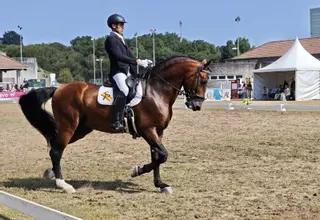 Equina celebra su jornada más intensa con cinco certámenes