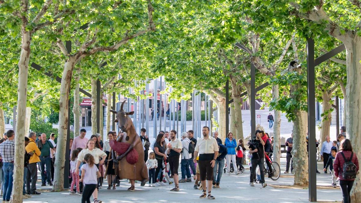Activitats del festival Cornamusam a Olot en una edició anterior.