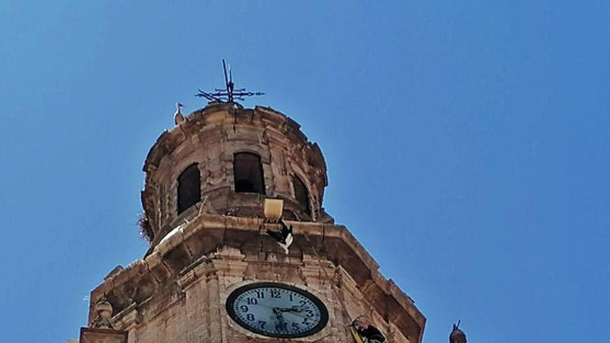 Un bombero intenta liberar a la cigüeña con una pértiga.