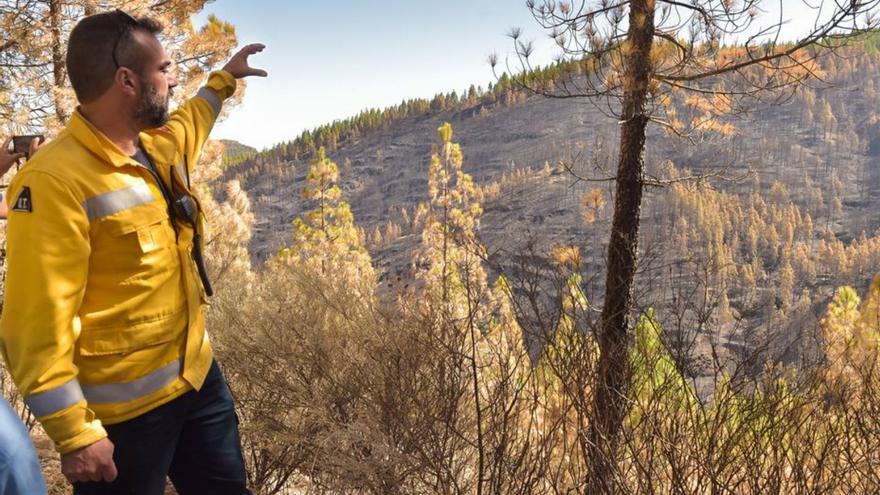 La fuerte sequía obliga a adelantar  la prevención de fuegos forestales