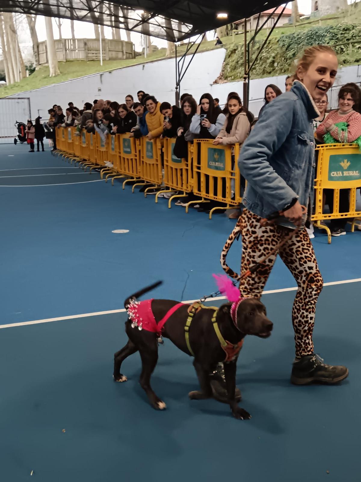 El desfile de mascotas de Grado, en imágenes