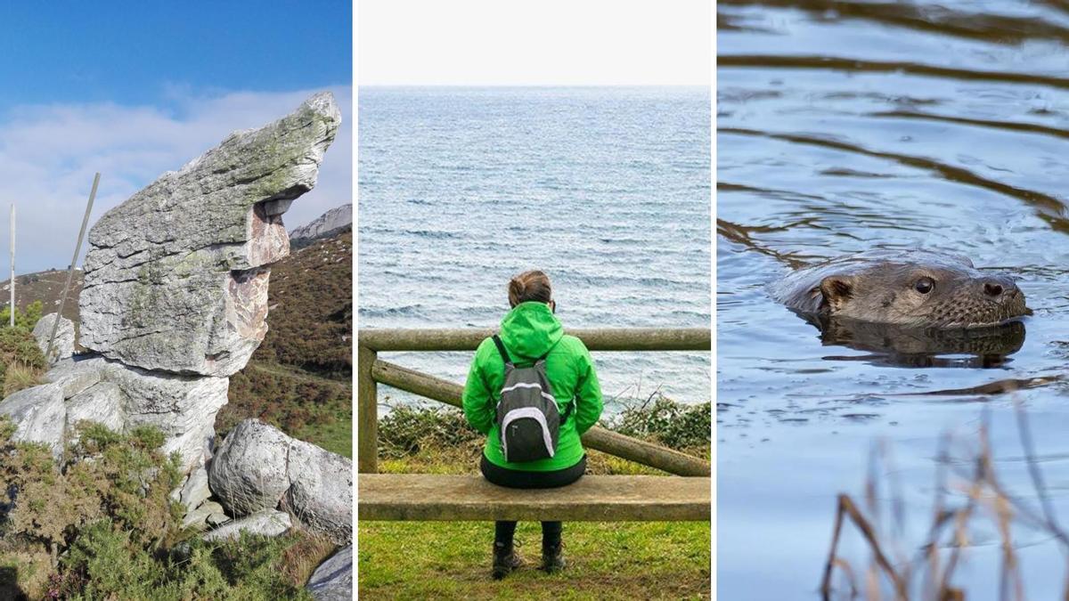 Así son las tres rutas en Asturias premiadas por su calidad ambiental