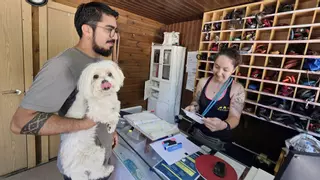 Vacaciones vip para mascotas en Vigo